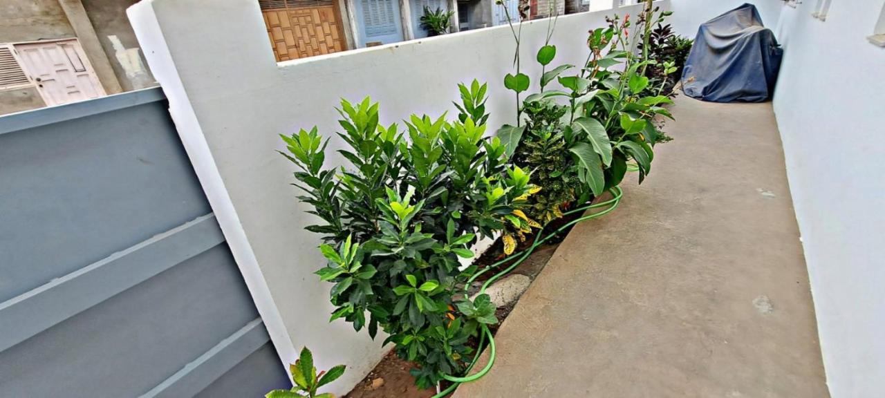 Apartamentos Santiago - Tarrafal ทาร์ราฟาล ภายนอก รูปภาพ